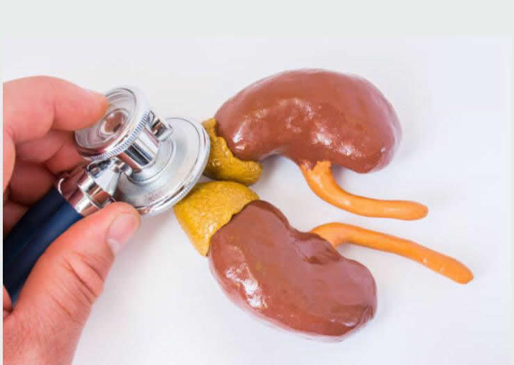 drhoseini.net/Adrenal.htmlدکتر سید مصطفی حسینی -غده آدرنال